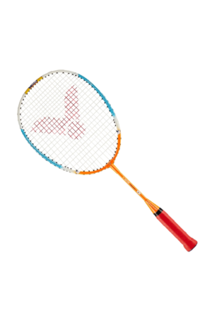 Esprit Badminton - Magasin Spécialiste 100% Badminton
